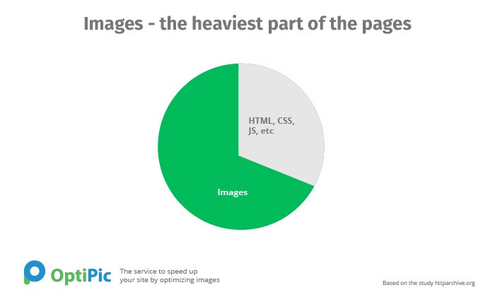 otipic-infograph-img-percent-en